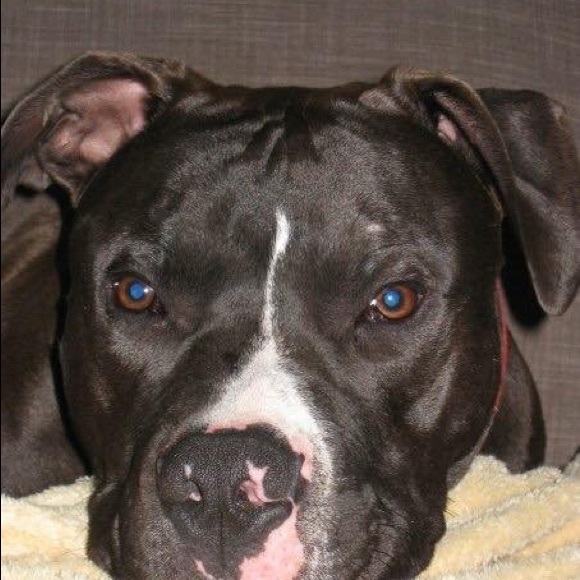 Meet your Posher, Strphanie - Picture 1 of 1